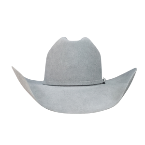 Governor